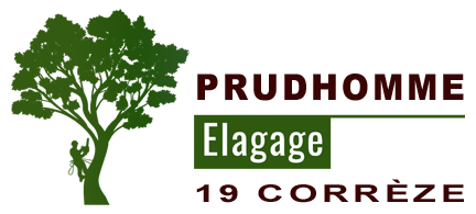PRUDHOMME Elagage